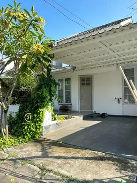 Rumah  siap huni murah 1 Lantai di Graha Bintaro