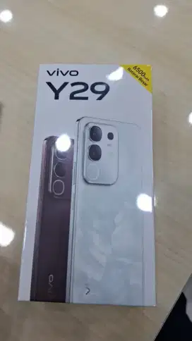Vivo Y29 8/256Gb