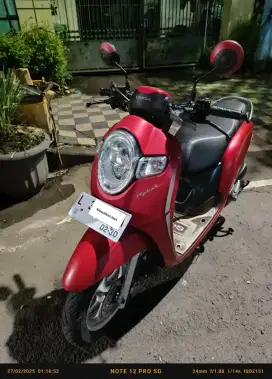 Scopy 2020 plat L