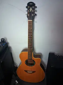 Gitar APX 500 Non Elektrik, Acoustic biasa