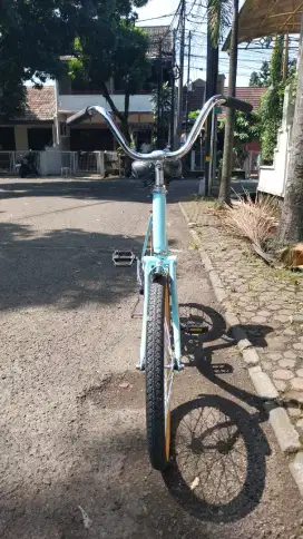 Sepeda Minion Phoenix Rebuilt