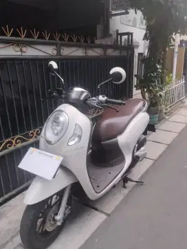 Honda Scoopy 2023 remot