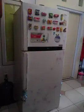 Kulkas LG 2 pintu big size JUMBO