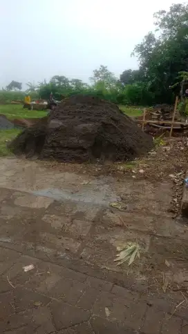 Pasir Cam / Pasir Cor / Pasir Plester / Pasir Pasang / Pasir Halus