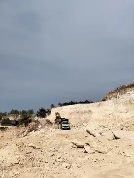 Limestone / Pedel / Batu Kapur