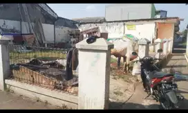Jual Tanah SHM luas 204m2 di Meruyung Limo jl Amin