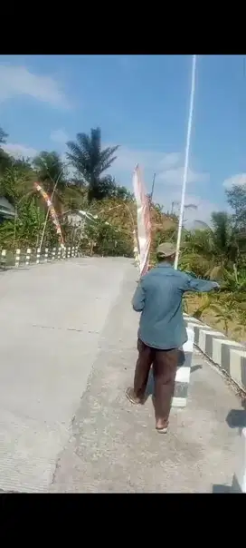 TANAH KEBUN TEPI JALAN RAYA LIMBANGAN-SINGOROJO