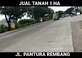 JUAL TANAH 1 HA JL. PANTURA REMBANG JATENG