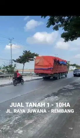 TANAH 1-10 HA PANTURA JL. RAYA JUWANA-REMBANG