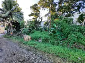 Dijual Tanah Jalan Pupuk