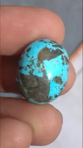 pirus persia gambar bebek murah pol