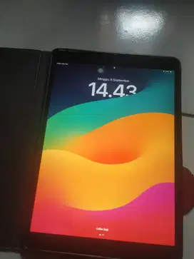 Ipad Pro 10.5 inch (64GB)