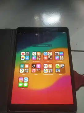Ipad Pro 10.5 inch (64GB)