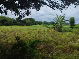 Dijual Tanah di Ragemanunggal Setu Bekasi