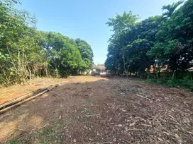 Hanya 1 Jt-an Kavling SHM Area Cileungsi, Bogor. Bisa Cicil 12x