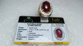 Cincin Natural Ruby Pigeon Blood 20.40 Bermemo