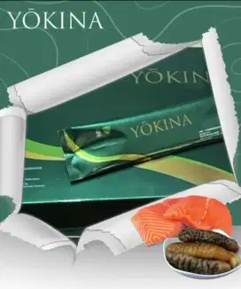 SALES AFFILIATE PRODUK KESEHATAN YOKINA