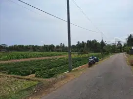 DIJUAL TANAH SAWAH