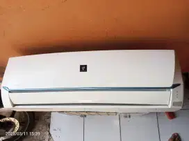Indoor Sharp 1 PK r32