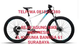 POLYGON XTRADA 5 NEW 2025