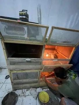 Kandang Ayam dan Burung Hias