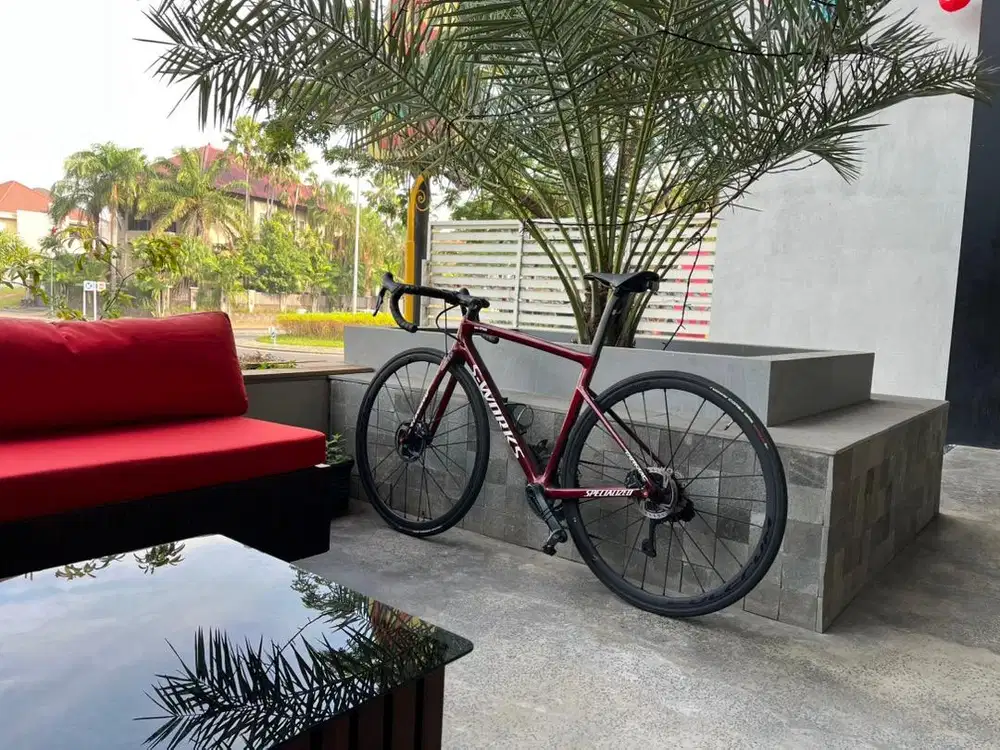 Full bike Swork SL6