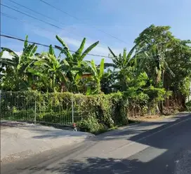 Tanah 5 Are di Umalas Kuta, cocok buat Cafe atau Villa