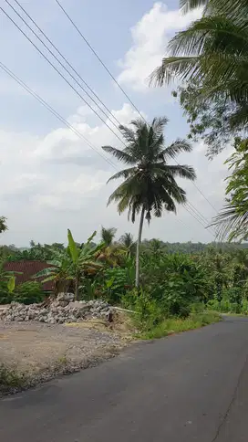 Tanah Dijogja, Dijual Tanah dekat Jl Raya Sentolo Nanggulan kulonprogo