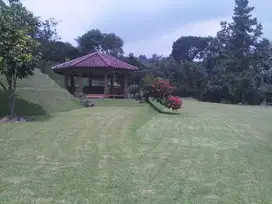 Jual cepat Villa puncak Cisarua Bogor