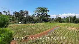 Dijual tanah sawah subur pinggir jalan strategis dekat ke kota