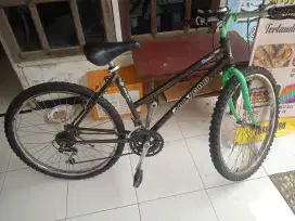 Sepeda gunung MTB polygon