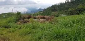 TANAH KAWASAN WISATA KEBUN TEH KEMUNING DI PARALAYANG SEGORO GUNUNG