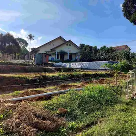 Dijual Tanah di Cianjur Cocok Untuk Agraris