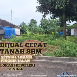 TANAH MURAH,JUAL CEPAT, ISTIMEWA LOKASI PINGGIR JALAN DI WELERI KENDAL