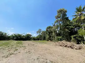 1 Jutaan View Sawah, Tanah Jogja Kalasan