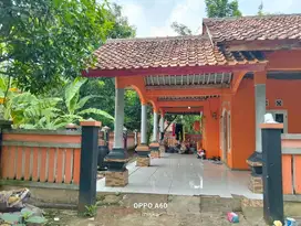 Dijual CEPAT Tanah Kebun BONUS Rumah Klapanunggal Bogor