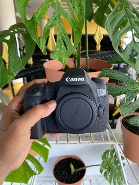 CANON 6D Wifi