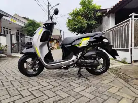 HONDA SCOOPY 2024 BLN 12 NEW MODEL