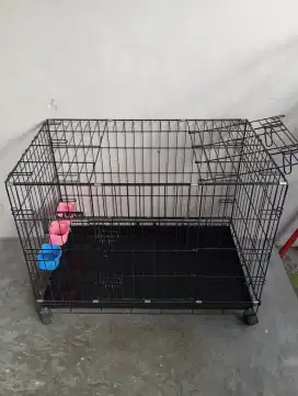 Kandang Kucing Luve Kondisi Istimewa