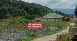 Jual tanah sawah dan kebun ciasihan pamijahan bgr