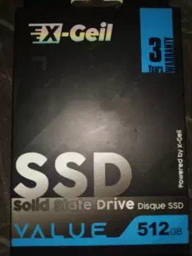 SSD 512 gb x-geil