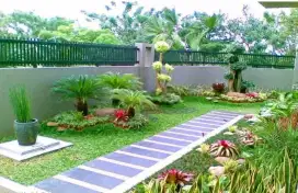 Tukang taman murah