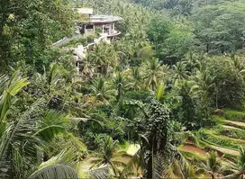 Jual Tanah di Ubud Bali - Sayan, Luas 3,5 Hektar