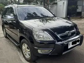 CRV mulus original