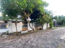 Jual rumah cocok untuk kantor atau usaha karna mau pulang kampung