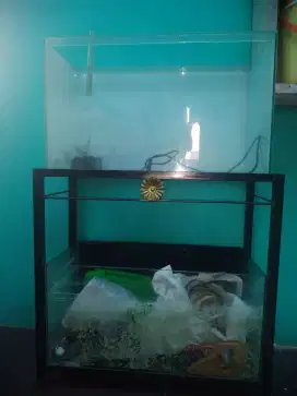 Di jual 2aquarium 60cm  1 rak