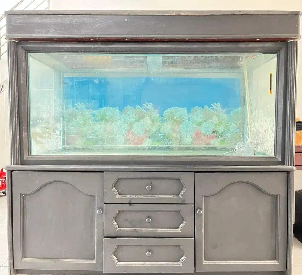 Aquarium dan penyimpanan