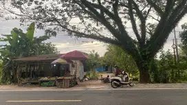 Dijual Tanah SHM 50mx800m Palangkaraya