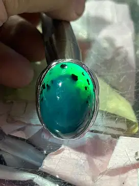 Bacan Doko Totol Lawas Jumbo