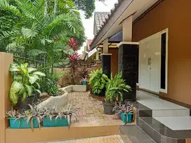 Rumah Baru di Anggrek Loka BSD Bagus